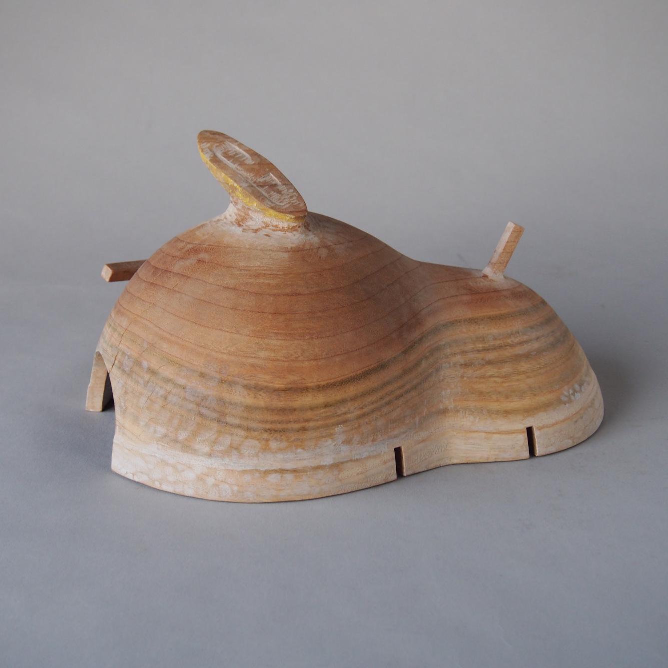 山に落ちたボート