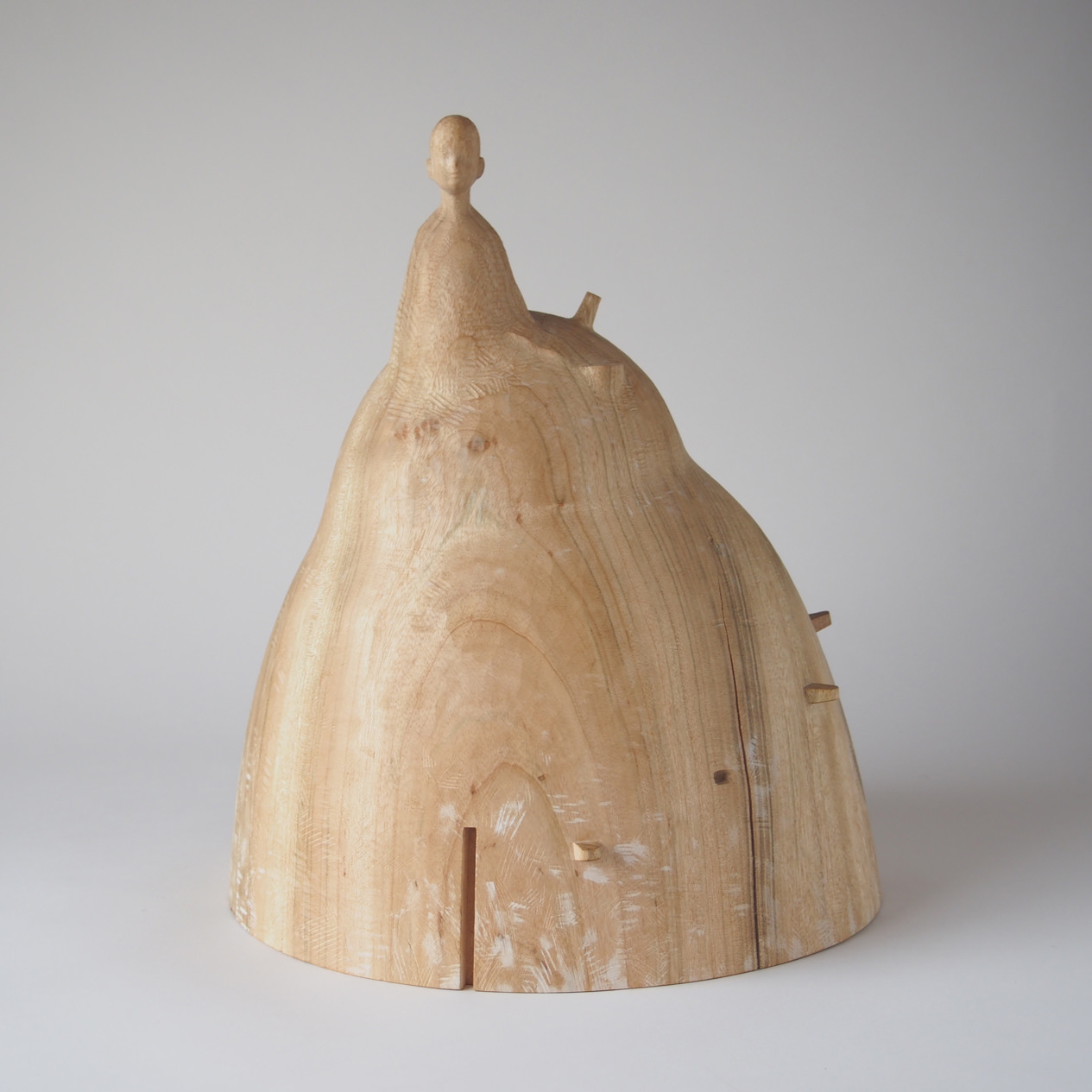 見たい景色を見れる人